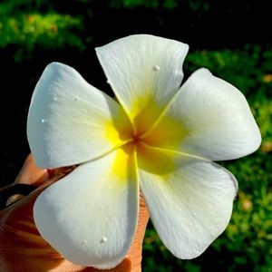 Meet your Posher, Pooja